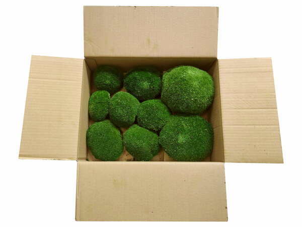 Polstermoos - Waldgrün - Lose verpackt - 0,10 qm pro Karton