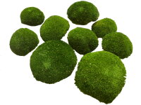 Polstermoos - Waldgrün - Lose verpackt - 0,10 qm pro Karton