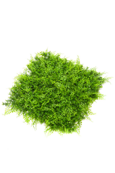 Kunstpflanzen-Matte - Farne / Juniperus - 50x50 cm