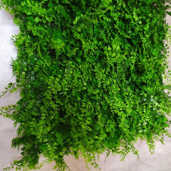 Waldoptik-Pflanzmatte 50x50 cm  Farn & Juniperus grn, 28,99