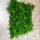 Kunstpflanzen-Matte - Farne / Juniperus - 50x50 cm