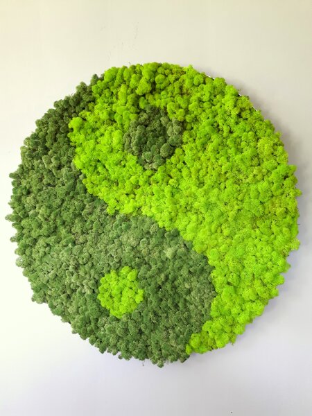 Moosbild - Islandmoos - Yin Yang - Alurahmen Rund - Durchmesser 60 cm