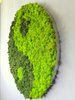 Moosbild - Islandmoos - Yin Yang - Alurahmen Rund - Durchmesser 60 cm
