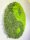 Moosbild - Islandmoos - Yin Yang - Alurahmen Rund - Durchmesser 60 cm