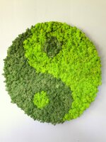Moosbild - Islandmoos - Yin Yang - Alurahmen Rund -...