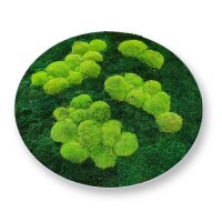 Moosbild - Wald- und Polstermoos Grün - Alurahmen Rund