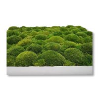 40 x 120 cm-Alu Gebürstet