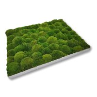 40 x 120 cm-Alu Gebürstet