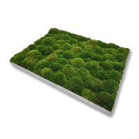 40 x 120 cm-Alu Gebürstet