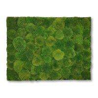 40 x 120 cm-Schwarz Lackiert