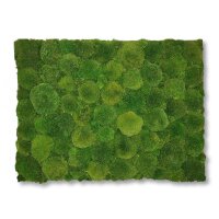 40 x 60 cm-Weiß Lackiert
