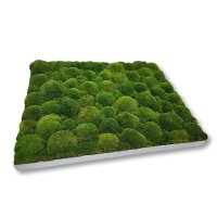 40 x 60 cm-Weiß Lackiert