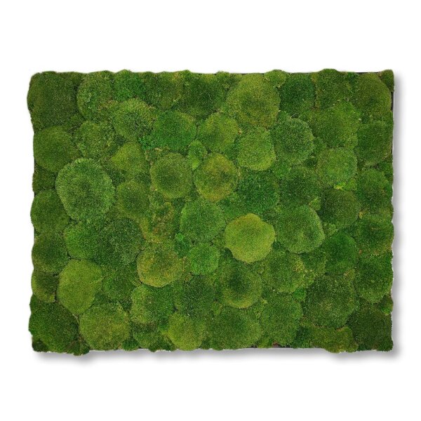 50 x 100 cm-Alu Gebürstet