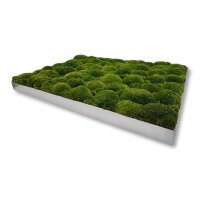 50 x 100 cm-Alu Gebürstet