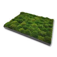 50 x 100 cm-Schwarz Lackiert