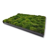 50 x 100 cm-Schwarz Lackiert