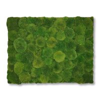 50 x 50 cm-Alu Gebürstet