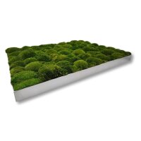 50 x 50 cm-Alu Gebürstet
