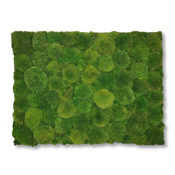 50 x 50 cm-Weiß Lackiert