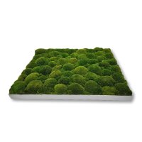 50 x 50 cm-Weiß Lackiert
