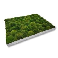 50 x 50 cm-Weiß Lackiert