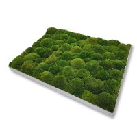 50 x 50 cm-Weiß Lackiert