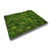 60 x 60 cm-Schwarz Lackiert