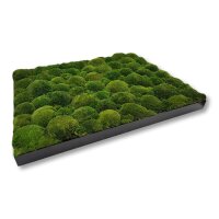 60 x 60 cm-Schwarz Lackiert