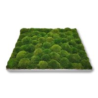 60 x 80 cm-Alu Gebürstet