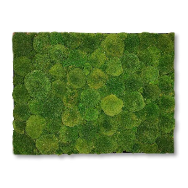 80 x 80 cm-Schwarz Lackiert