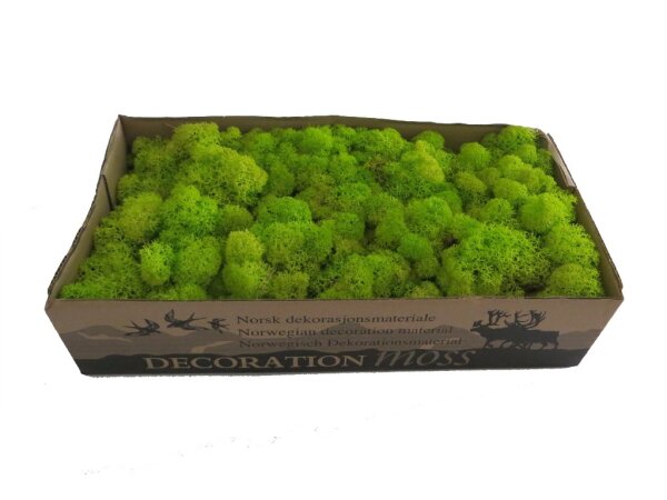 Konserviertes Islandmoos - Frühlingsgrün - Lose verpackt - VPE 450 Gramm