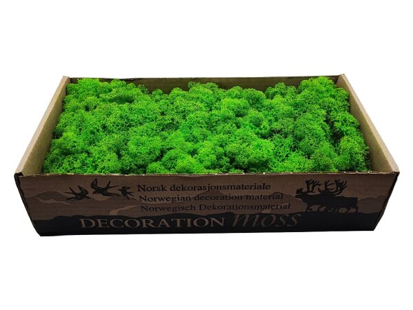 Konserviertes Islandmoos - Helles Grasgrün - Lose verpackt - VPE 450 Gramm