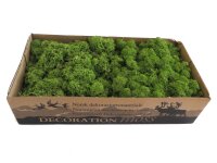 Konserviertes Islandmoos - Mittelgrün - Lose...