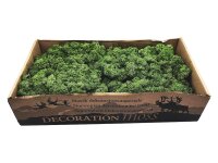 Konserviertes Islandmoos - Moosgrün - Lose verpackt...