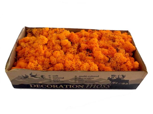 Konserviertes Islandmoos - Orange - Lose verpackt