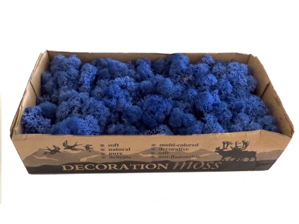 Konserviertes Islandmoos - Königsblau - Lose verpackt