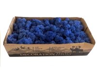 Konserviertes Islandmoos - Königsblau - Lose verpackt