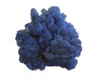 Konserviertes Islandmoos - Königsblau - Lose verpackt