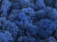 Konserviertes Islandmoos - Königsblau - Lose verpackt