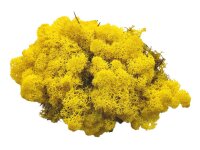 Konserviertes Islandmoos - Zitronengelb - Lose verpackt