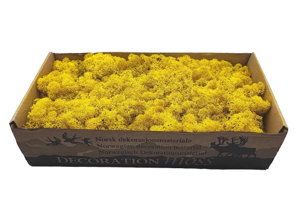 Konserviertes Islandmoos - Zitronengelb - Lose verpackt - 450 Gramm