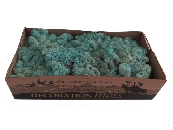 Konserviertes Islandmoos - Aquamarin - Lose verpackt