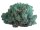 Konserviertes Islandmoos - Aquamarin - Lose verpackt - 450 Gramm