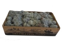 Konserviertes Islandmoos - Eisblau - Lose verpackt 450 Gramm