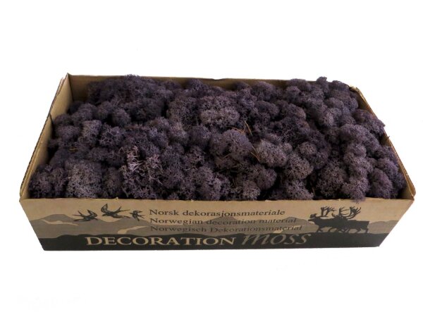 Konserviertes Islandmoos - Aubergine - Lose verpackt - 450 Gramm