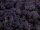 Konserviertes Islandmoos - Aubergine - Lose verpackt - 450 Gramm