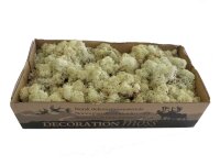 Konserviertes Islandmoos - Natur - Lose verpackt