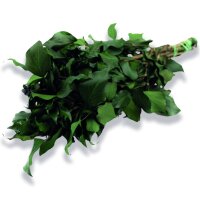 Stabilisierter Efeu - Hedera - Grün - Strauß...